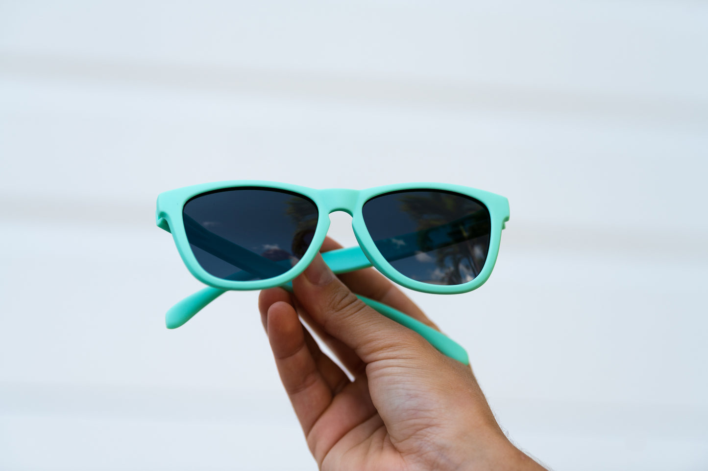 Barbella - Teal Sunnies